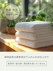 Laundrin'(ランドリン) ボタニカル 液体 柔軟剤 ベルガモット&シダー 500ml オーガニック