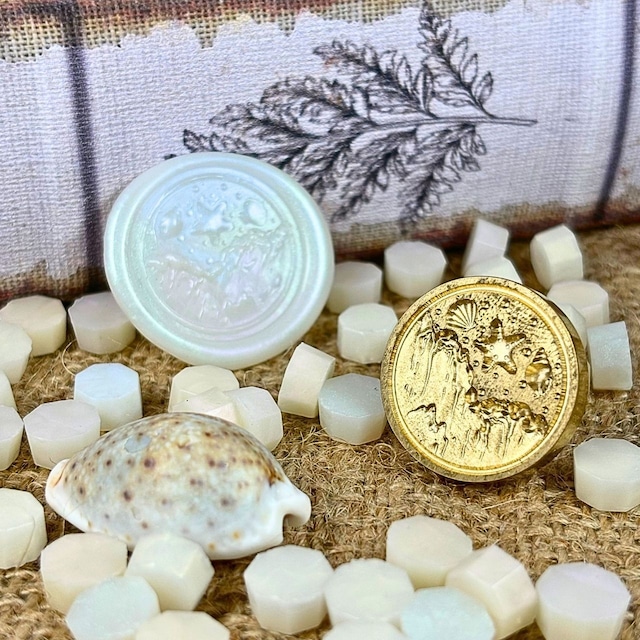 【25㎜】シェルウェーブ2【スタンプヘッド】#SWH-59