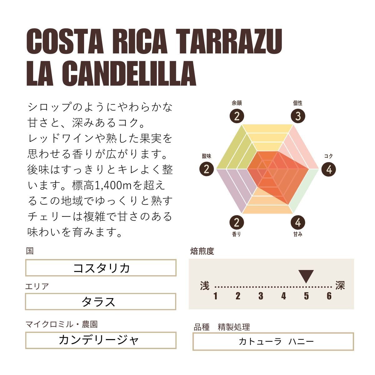 コスタリカ タラス カンデリージャ カトューラ ハニー 中深煎り Costa