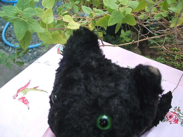 美品✨ 英国ビンテージ ねこ ぬいぐるみ イギリス Real Soft Toys english vintage black cat soft toy イギリス ビンテージ ねこ