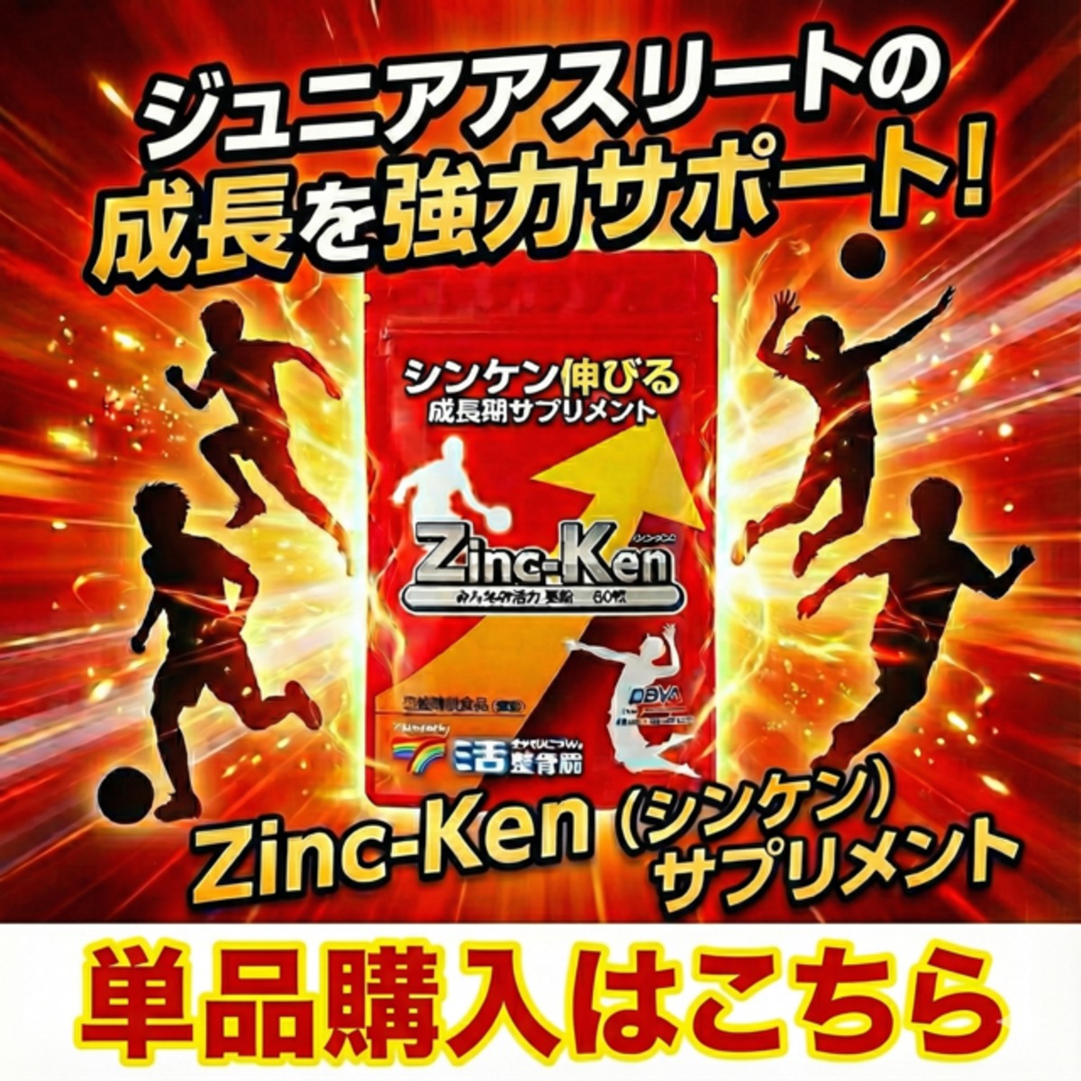 シンケン・成長期サプリメント | 活整骨院 公式オンラインショップ