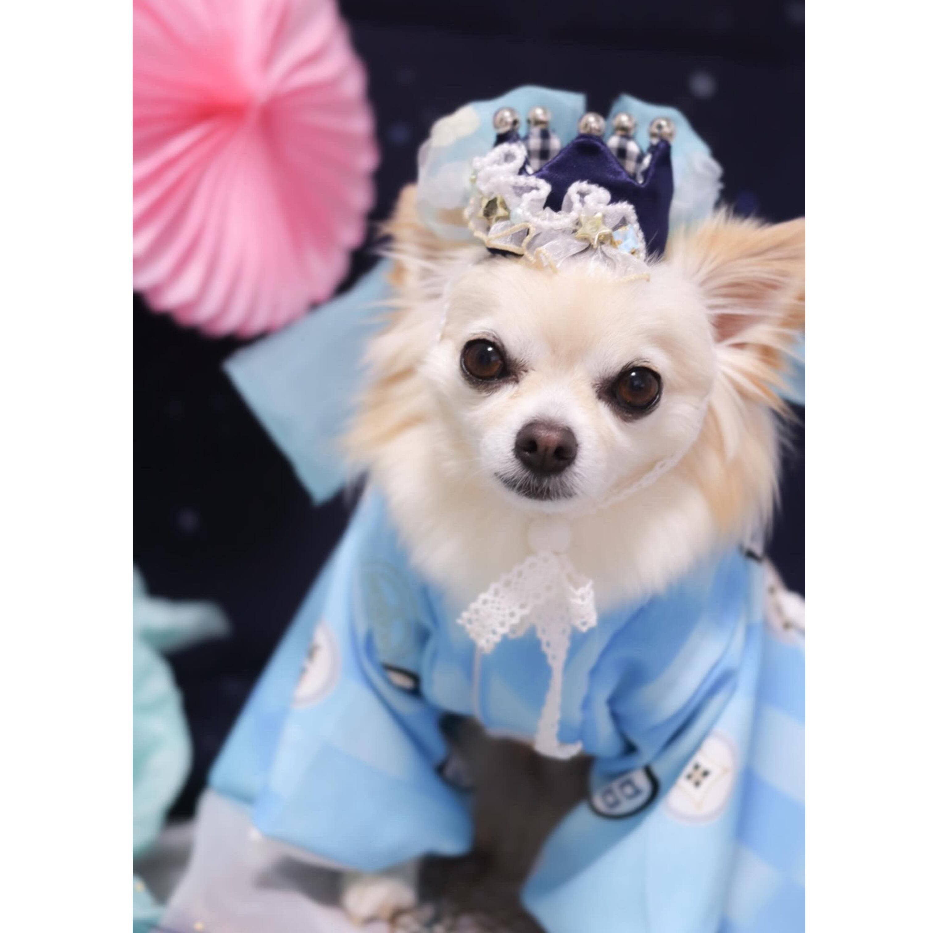 Yourelia様ハンドメイドオーダー☆犬☆ガーゼハンカチ Yourelia様