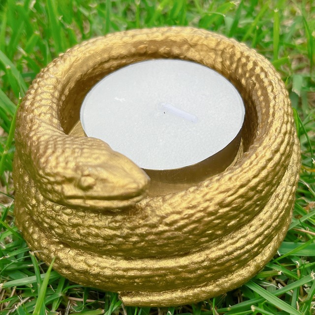 財運金運 臭 御神体 守り神 白ヘビ 巳神 白蛇 