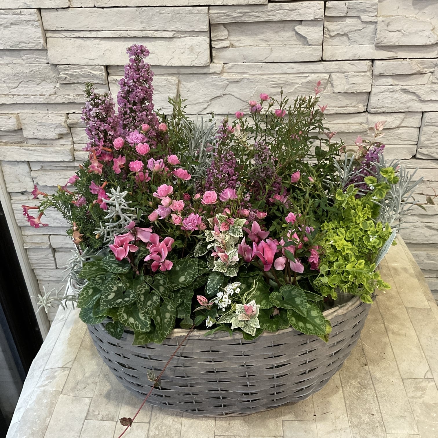 ピンクの上品な寄せ植え♡花の寄せ植え