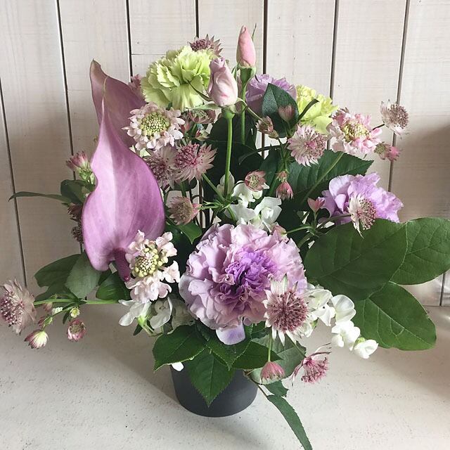 COLORS PURPLE PURPLE(6,000円)