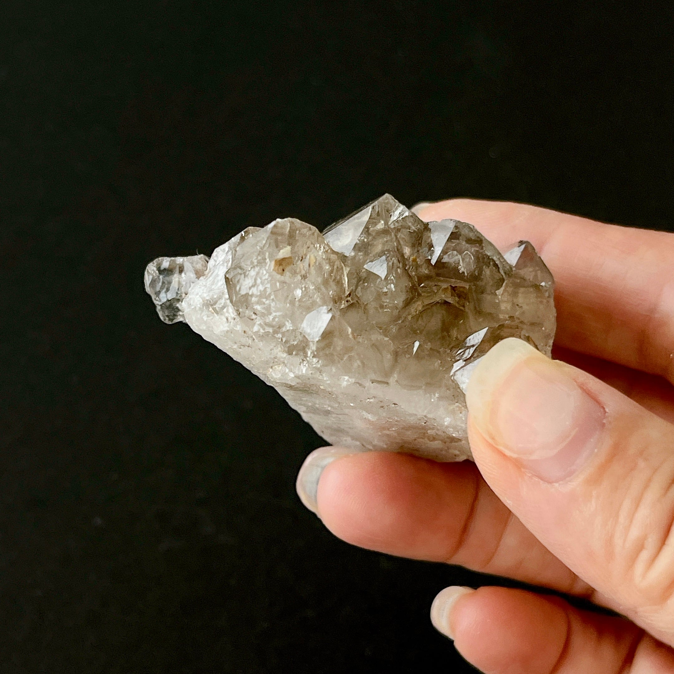 鉱物商店】エレスチャルクォーツ（ジャカレー水晶/骸骨水晶）