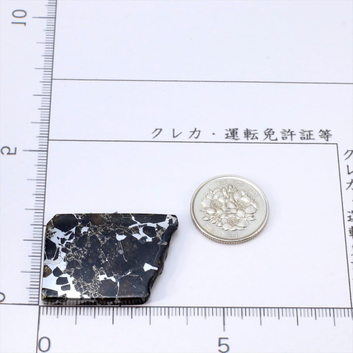 ブラヒン 隕石 14.8g パラサイト 石鉄隕石 標本 Brahin M2501 | 隕石