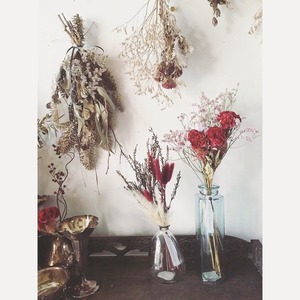 色と素材を楽しむ 植物と花瓶のコーディネートセット