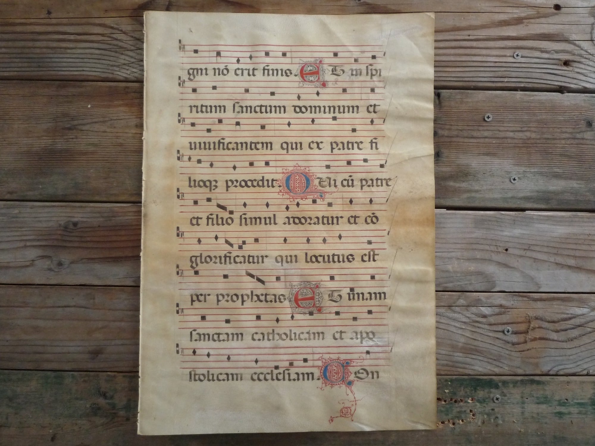 15世紀 四線譜 中世写本 グレゴリオ聖歌 ネウマ譜 ⅱ