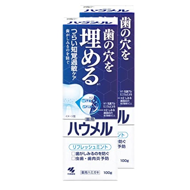 ハウメル 知覚過敏ケア 薬用ハミガキ 100g×2個 歯の穴を埋める 小林製薬 【医薬部外品】