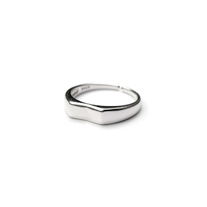 S925 SECTION RING SILVER