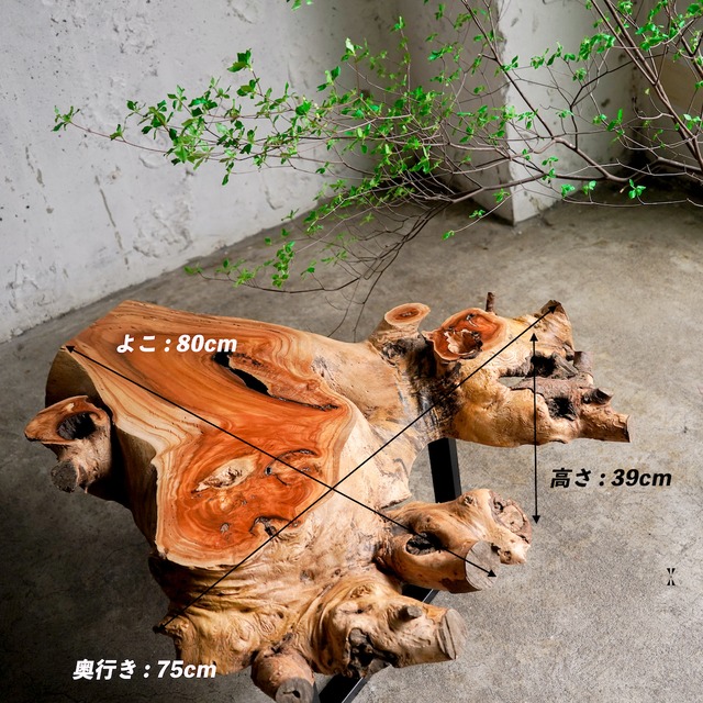 けやきの変木一枚板 ローテーブル