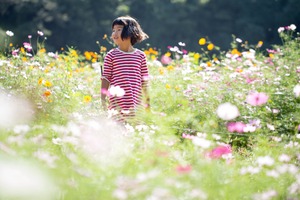 東京　全写真データ付　　キラキラコスモス畑でファミリー撮影会