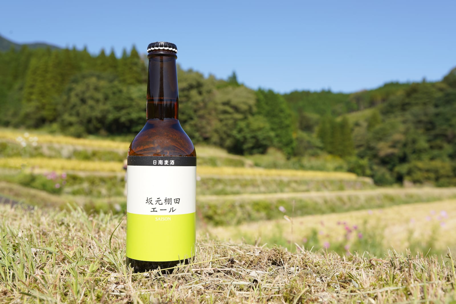 坂元棚田エール（330ml）宮崎地ビール 日南麦酒