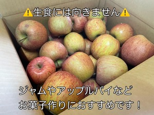 りんご（生食不向き・加工用）10kg