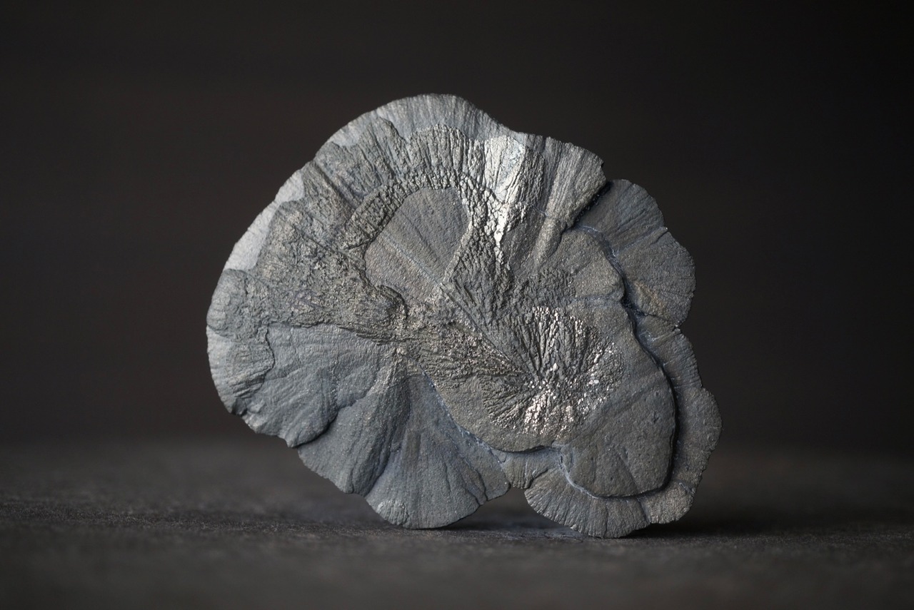 パイライトサン Pyrite Sun 1677