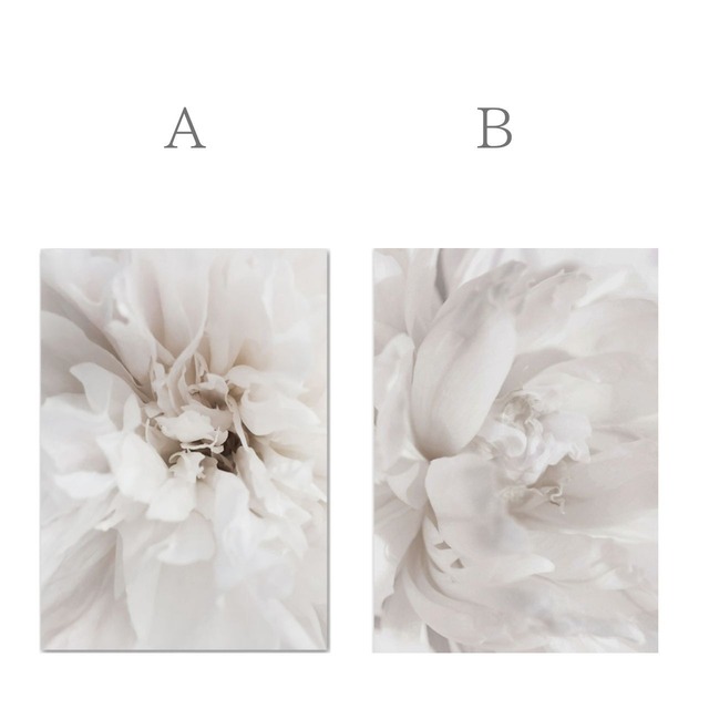 ホワイトフラワーA,B◇B6〜サイズが選べるアート