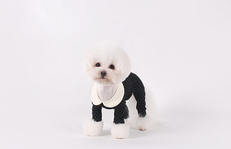 【SALE】 JETTY MINI DOT ALL IN ONE S ~ XL 3color / 犬服 新作 オールインワン 長袖 ロンパース ドッグウェア 小型犬 中型犬 犬 服 猫 ペット用品 ペット洋服