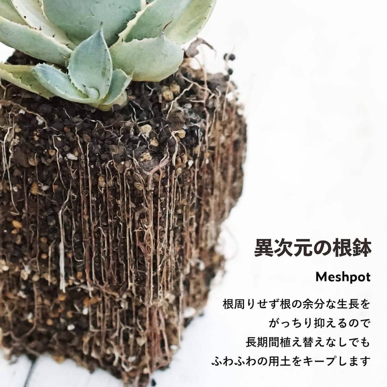 Meshpot HIGH 10cm ブラック