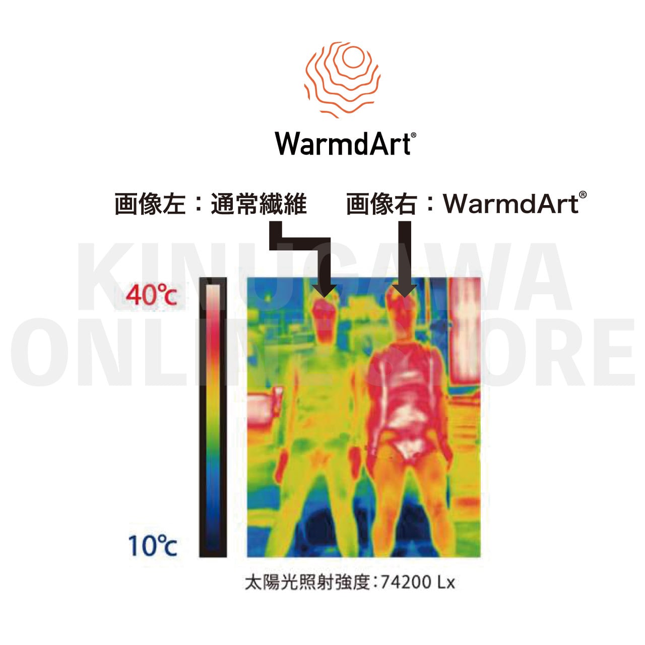 【保温性インナー】ウォームダールインナーパンツロング GULL ガル インナー