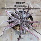  【送料無料】'Mercury' Original Clone〔ディッキア〕現品発送D0027