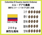 【スペシャルティのためのコロンビア産・コーヒー農園】エル・グアモ農園  200g 1750円