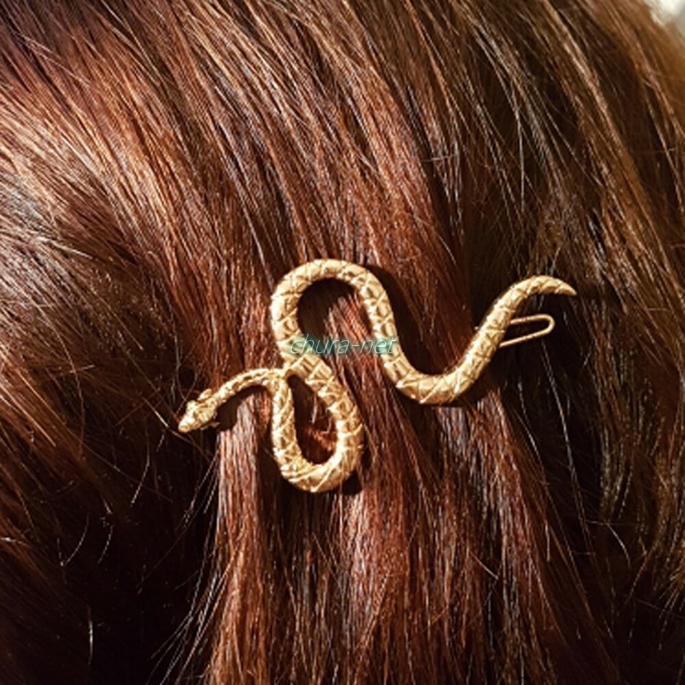 蛇のヘアクリップとスタッズピアス