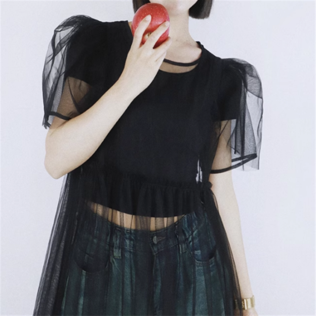 【Tea Tree】シアーパフスリーブワンピース 10874