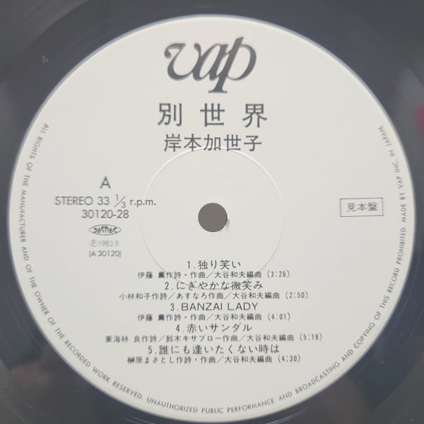 岸本加世子 / 別世界 [30120-28] - 画像3