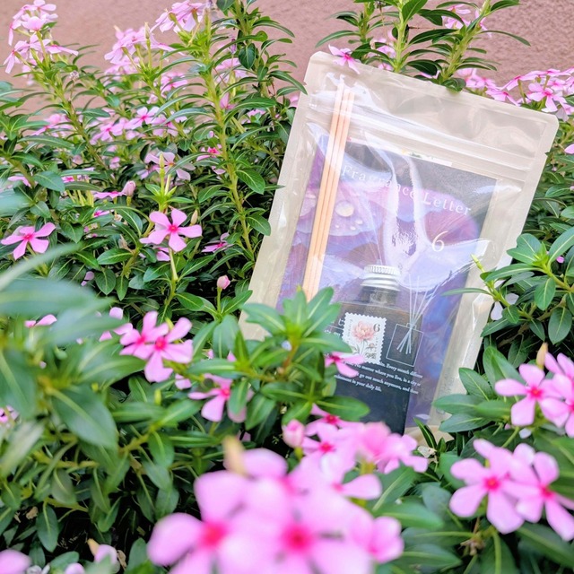 6月：芍薬