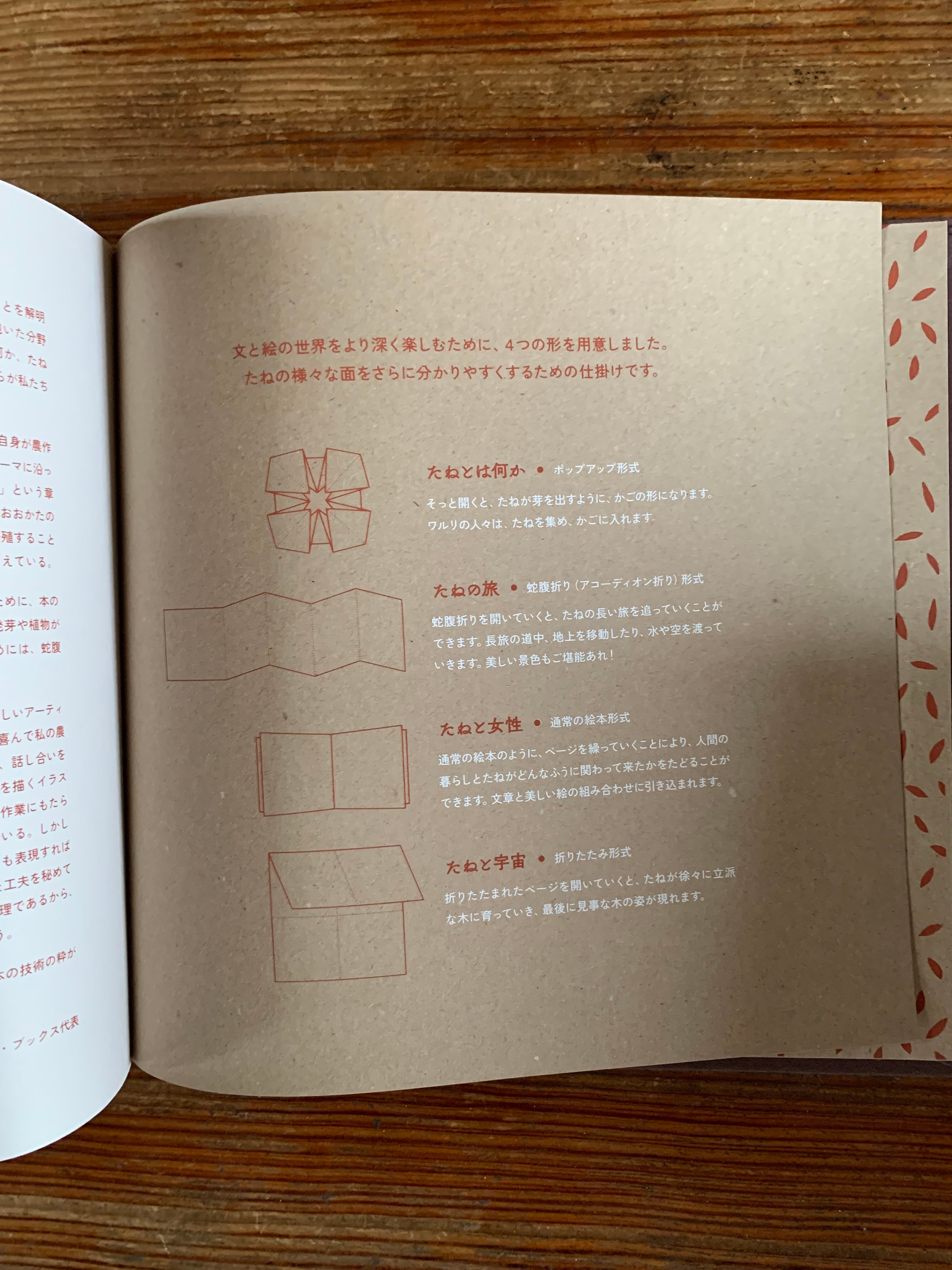 たね』 | STANDARD BOOKSTORE