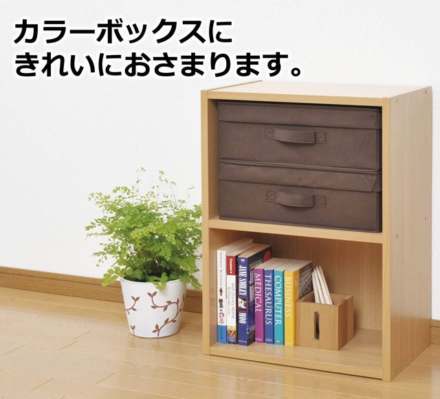 山善(YAMAZEN) どこでも収納ボックス 浅型 ふた付 2個セット ブラウン YTCF-2PAF(BR)