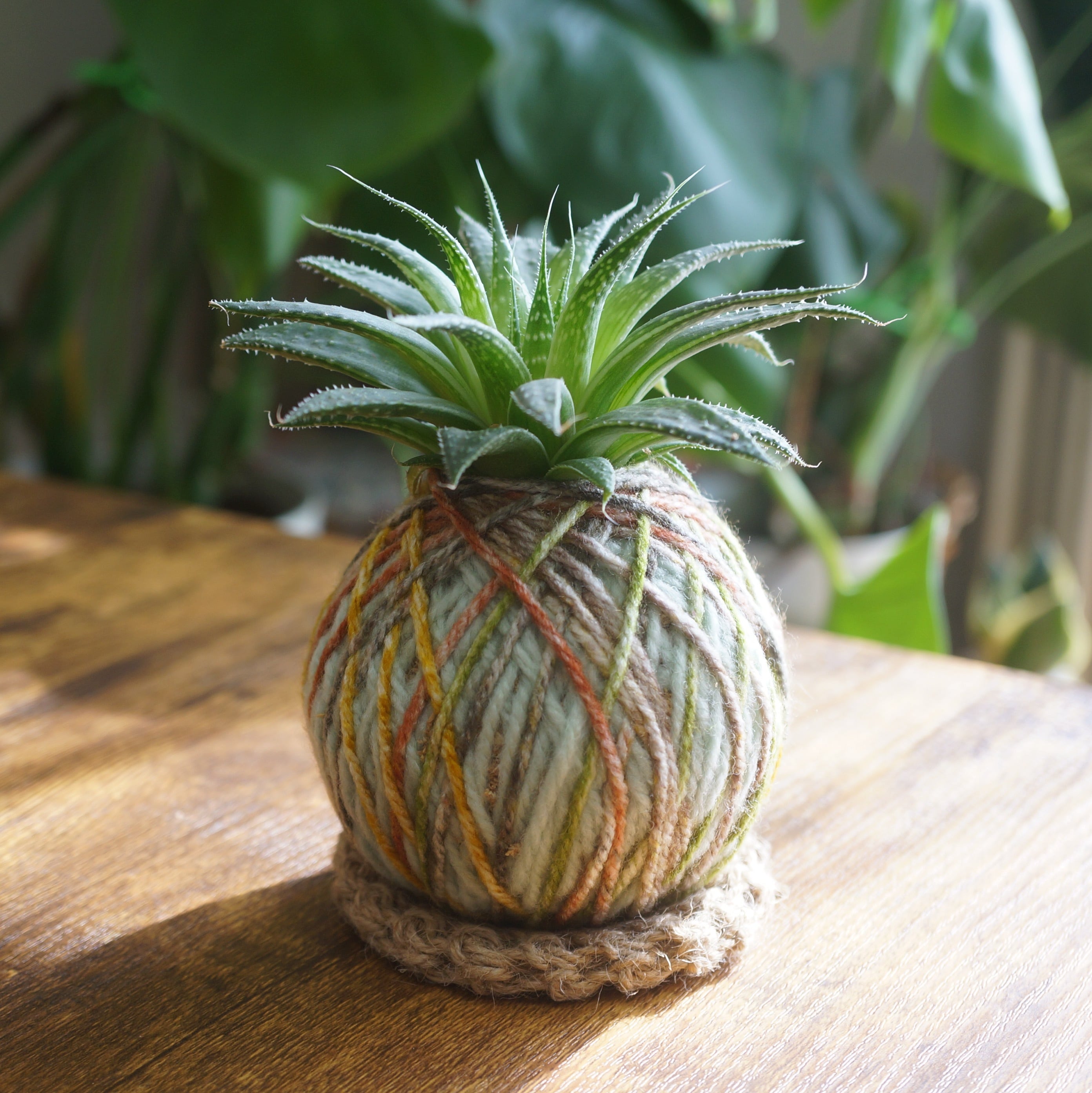 カンキチ工房 オンラインショップ//植物を枯らしてしまう店主が発案