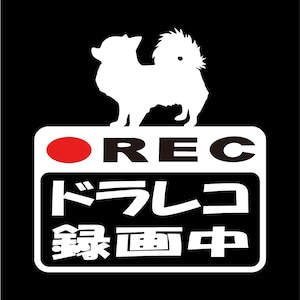 チワワ　ドラレコステッカー　ドラレコ　ドライブレコーダー　ステッカー　カッティングシート　REC　撮影中　搭載車　車載カメラ　あおり運転防止　防犯　車上荒らし　ペット　愛犬　犬　かわいい　シンプル　防水　耐水