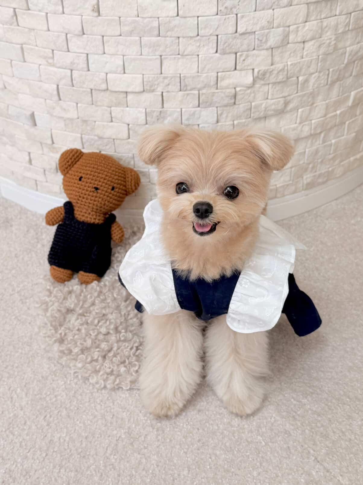 Classical Dress/ネイビー