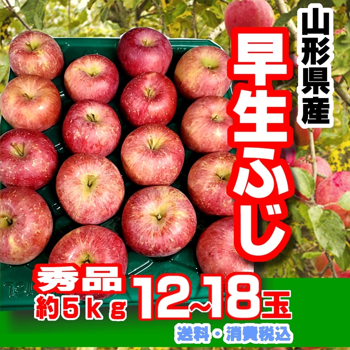 山形県産リンゴ「早生ふじ」送料・消費税込み　果物屋