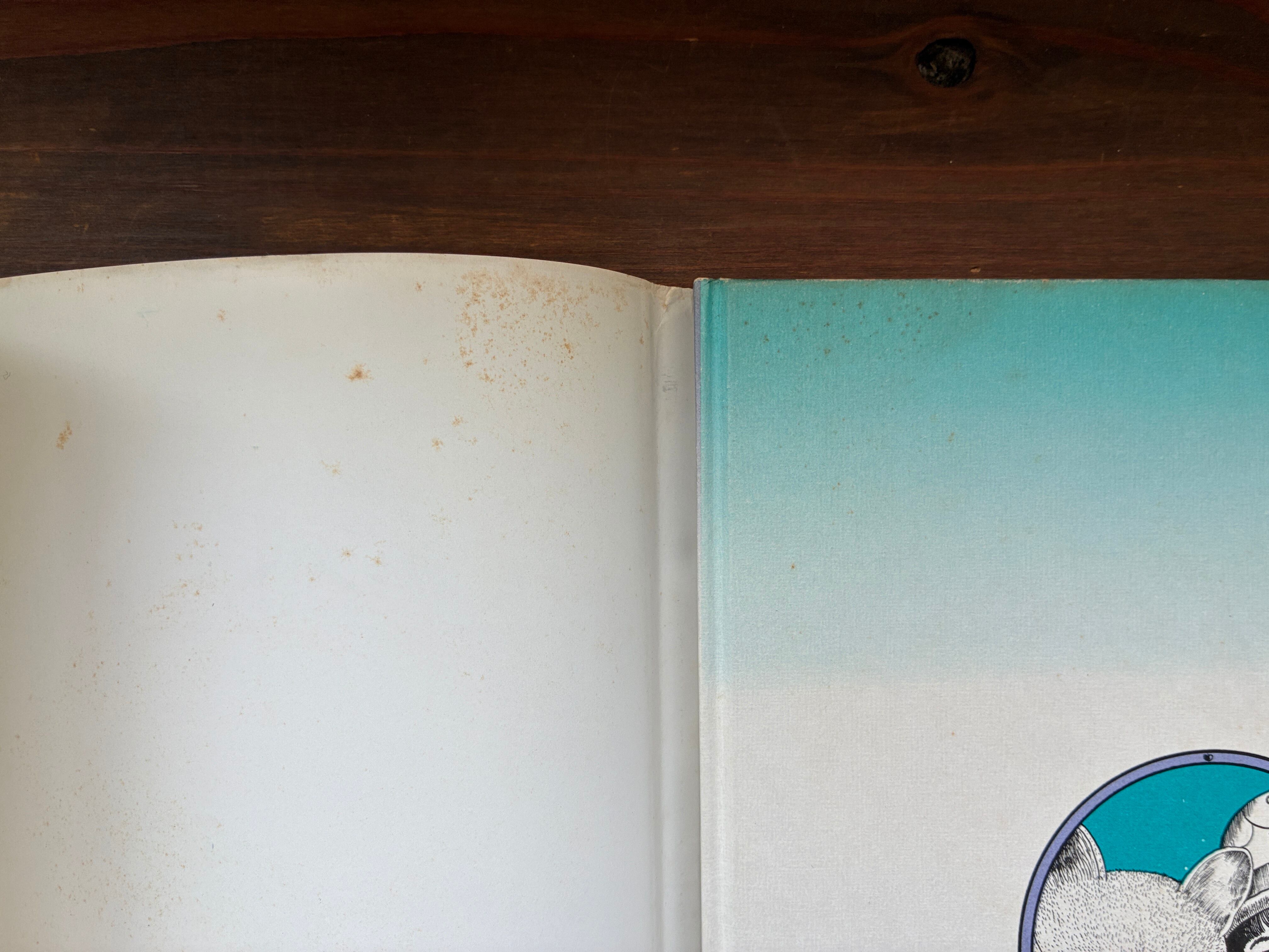 青猫島コスモス紀