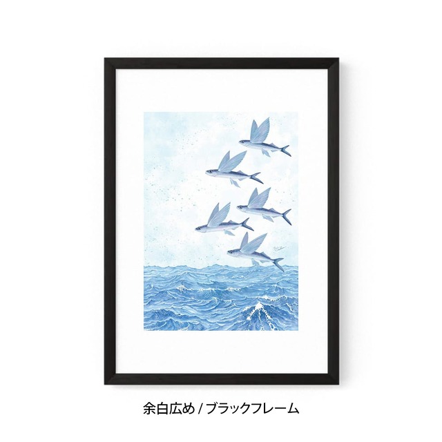 A3｜魚翔海図（ぎょしょうかいず）（フレームあり）