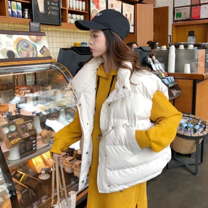 オータムウィンターカラージャケット 秋物 冬物 1号婦人66915137963