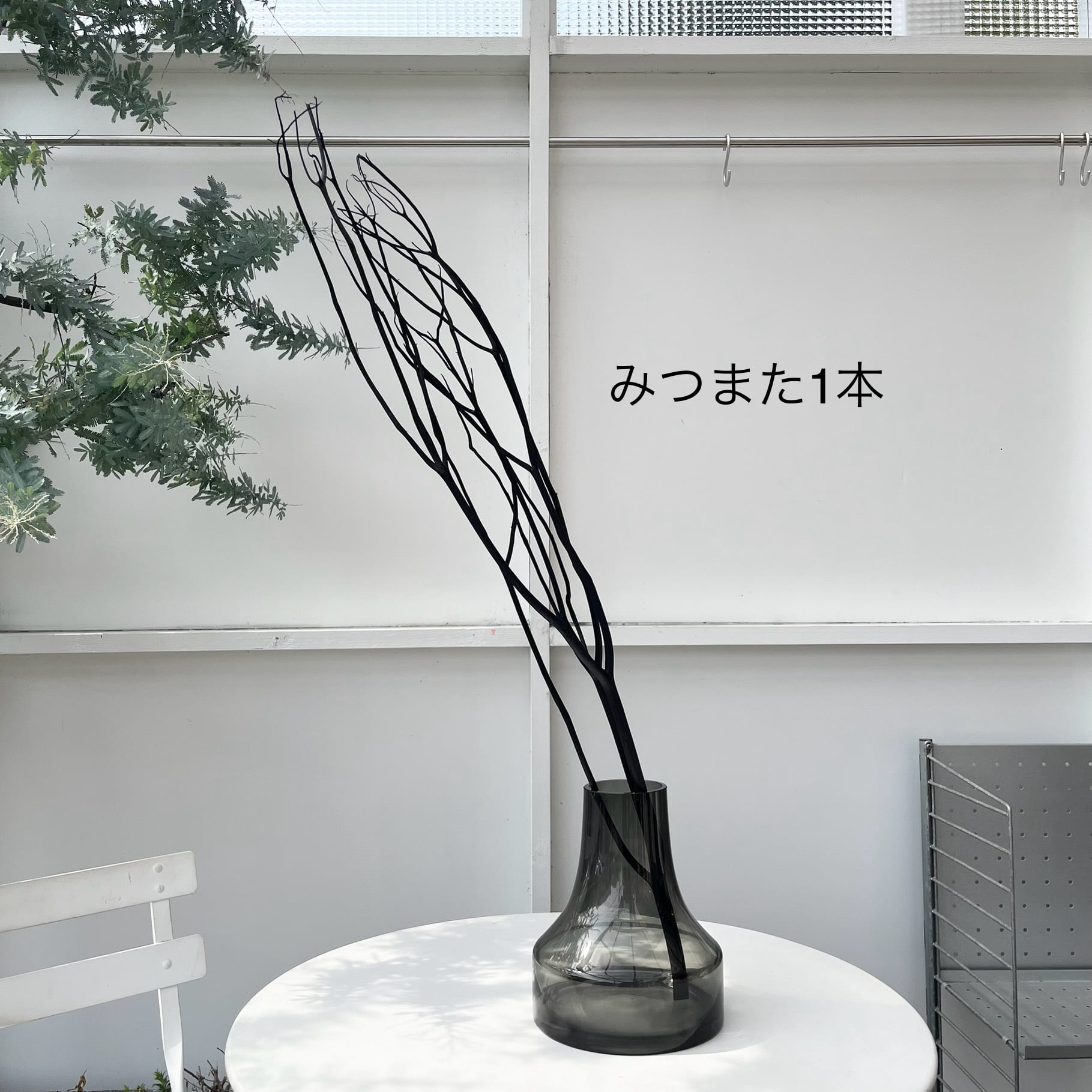 TSUKIGIみつまた 80cm前後 染色ブラック 枝物インテリア クリスマス