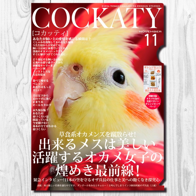 A4クリアファイル　コカッティ11月号  「出来るメスは美しい」