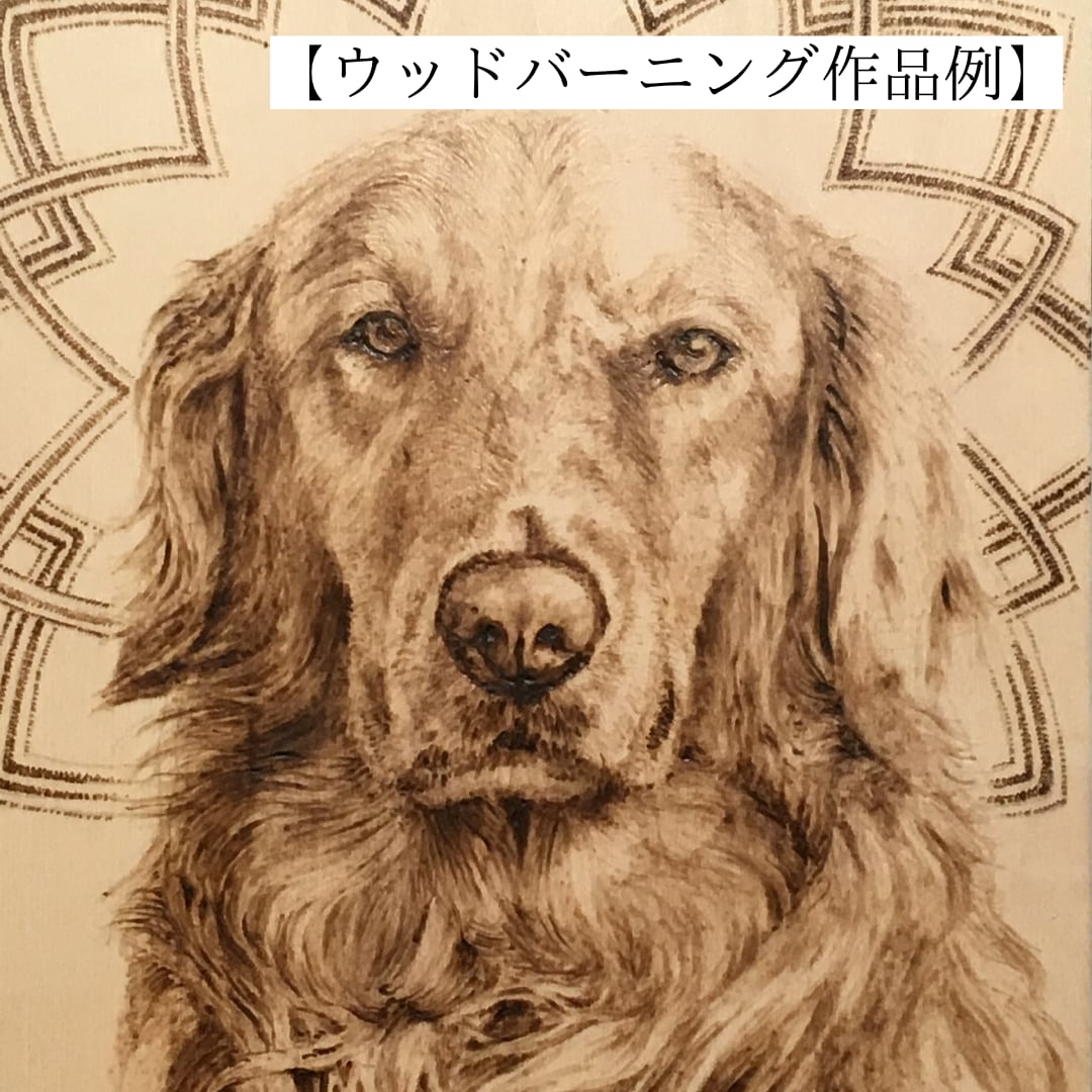 はじめてのウッドバーニングセット【送料無料】