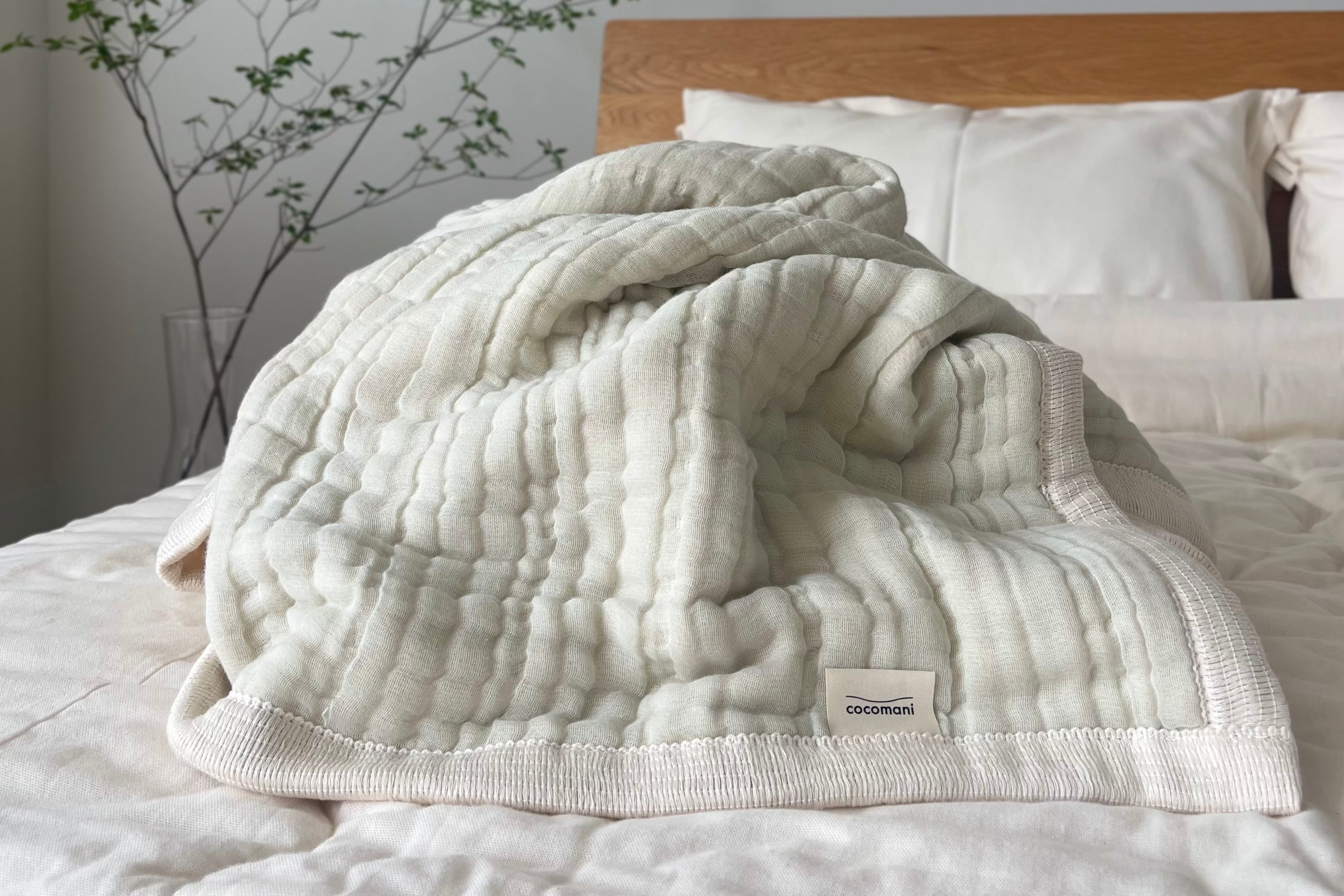 【2024.夏限定色】torotoro 8重ジャガード織 ガーゼケット 白緑 Byakuroku