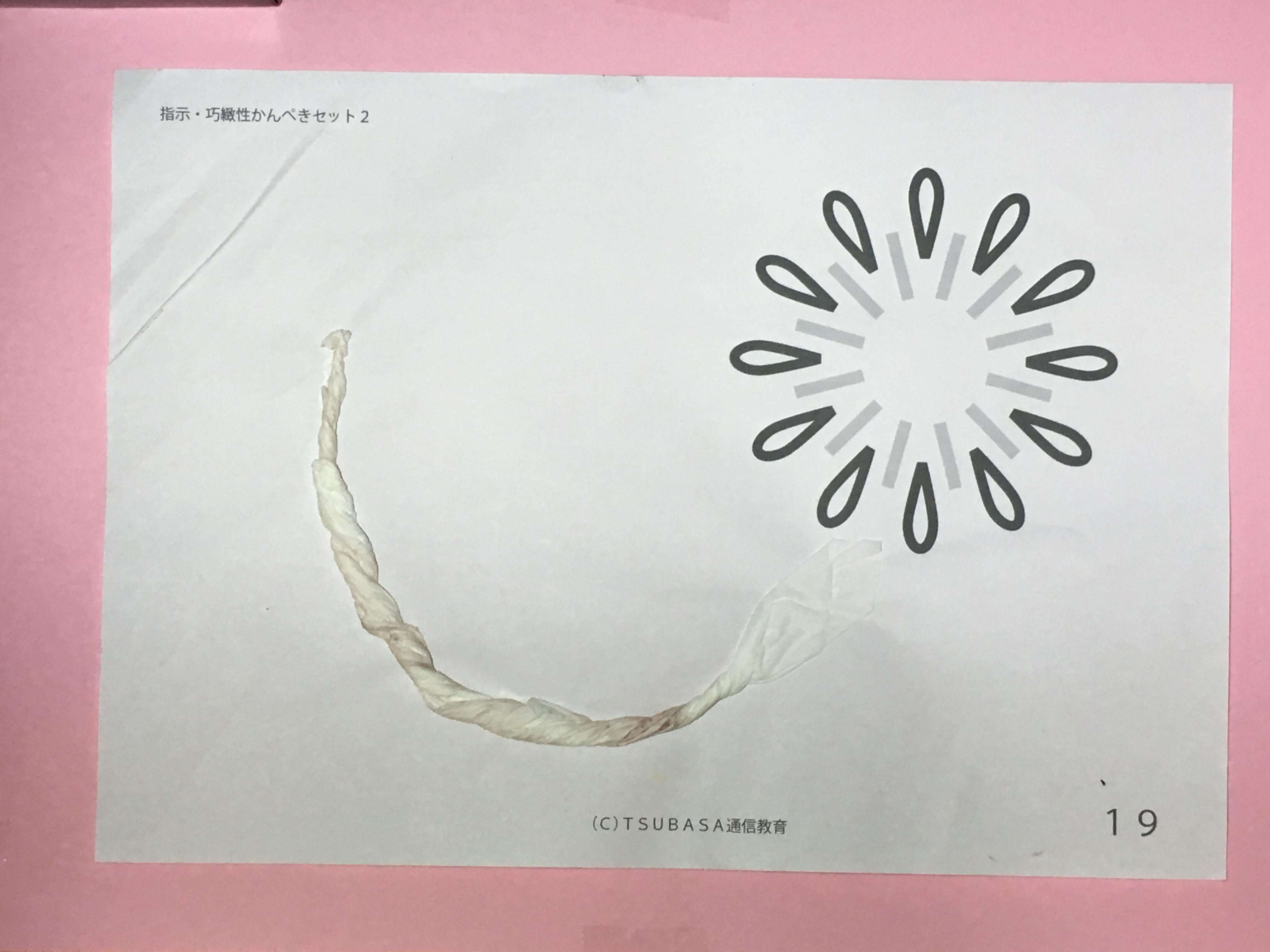 【ぺこ】ツバサ通信　指示巧緻性かんぺきセット1・2 65de66d9c3e541cc0497cc0f55578a