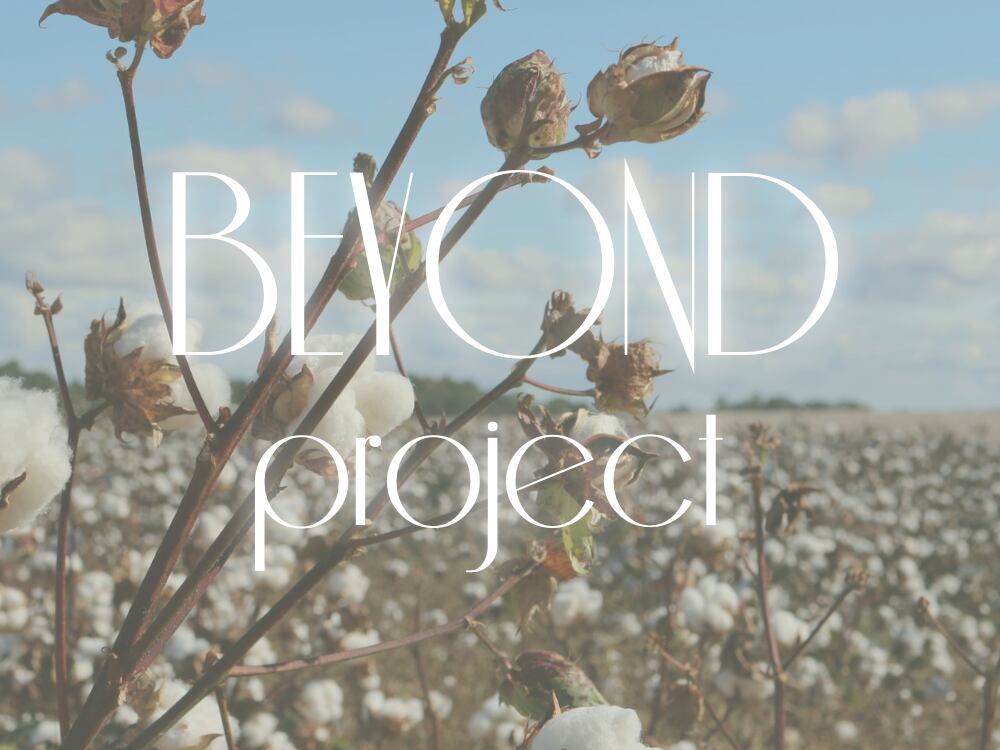 BEYOND project  3,000