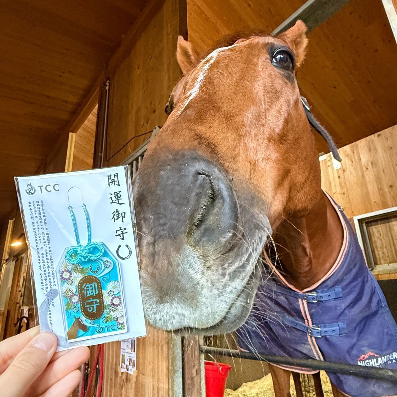 ラブミルク　強運御守　男2体　女2体　合計4体 予約商品】TCC 開運アクリル御守 | TCC ONLINE STORE