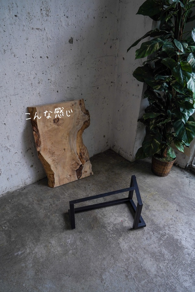 存在感のある巨大なイチョウの一枚板 ローテーブル