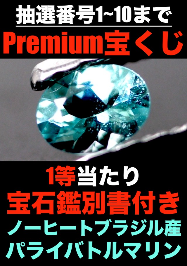 【抽選番号 6】5周年記念、Premium宝くじSpecial[DK-337］