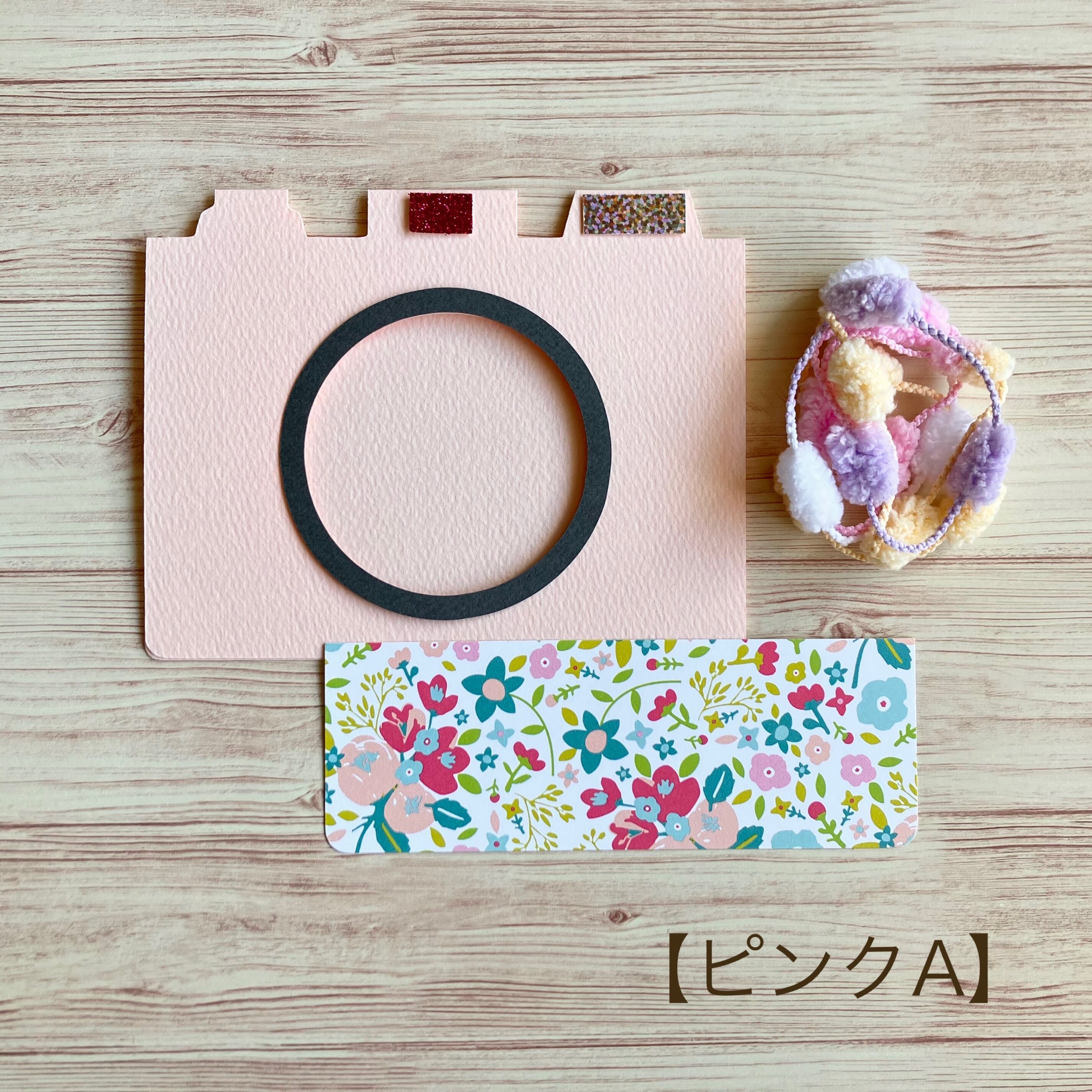 単品【カメラ型フォトカード】フルキット（ブルー・ピンク） | irodori