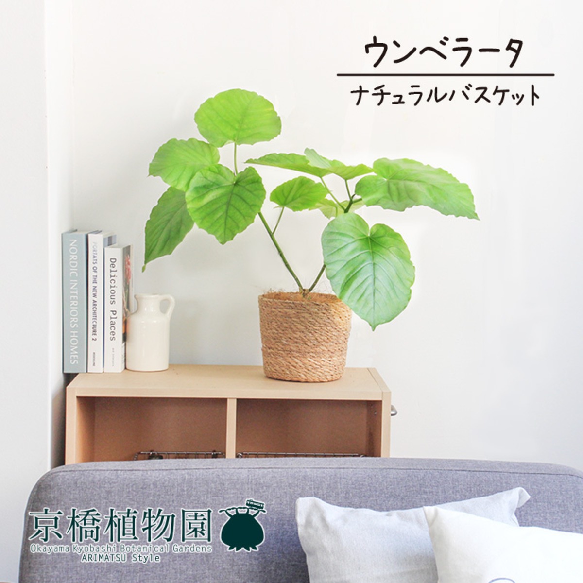 ナチュラルバスケット鉢カバー】ウンベラータ 5号 【受け皿付】 | 京橋 